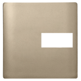 Placa 4x4 RJ - Novara Champanhe